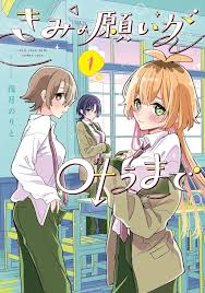 Kimi no Negai ga Kanau made